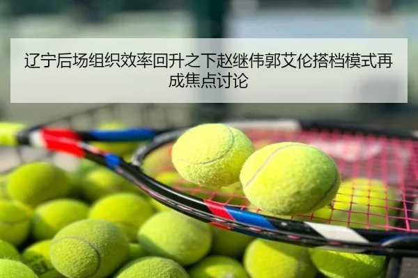 辽宁后场组织效率回升之下赵继伟郭艾伦搭档模式再成焦点讨论