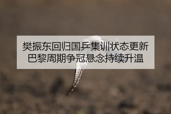 樊振东回归国乒集训状态更新 巴黎周期争冠悬念持续升温
