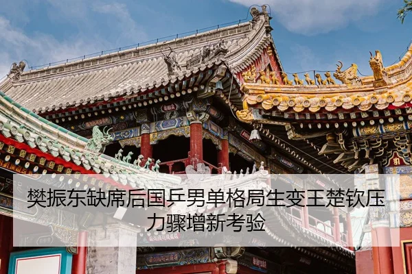 樊振东缺席后国乒男单格局生变王楚钦压力骤增新考验